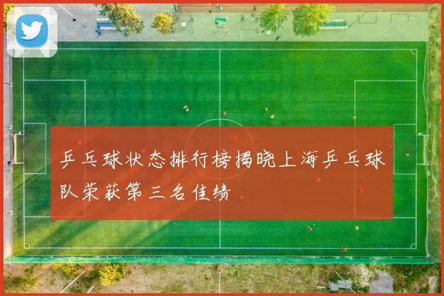 乒乓球状态排行榜揭晓上海乒乓球队荣获第三名佳绩