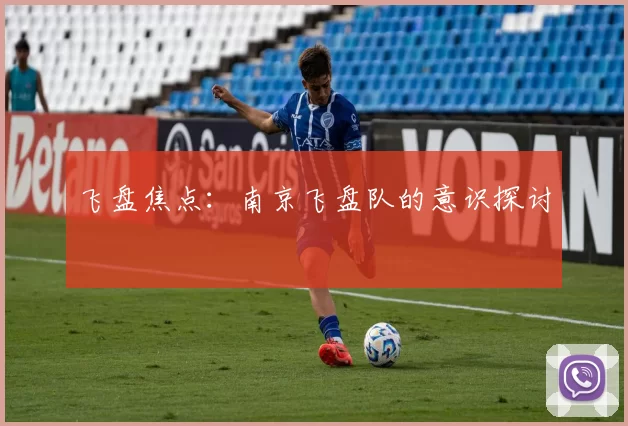 飞盘焦点：南京飞盘队的意识探讨