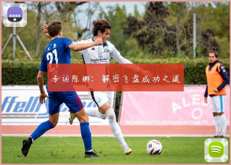 专访陈娜：解密飞盘成功之道