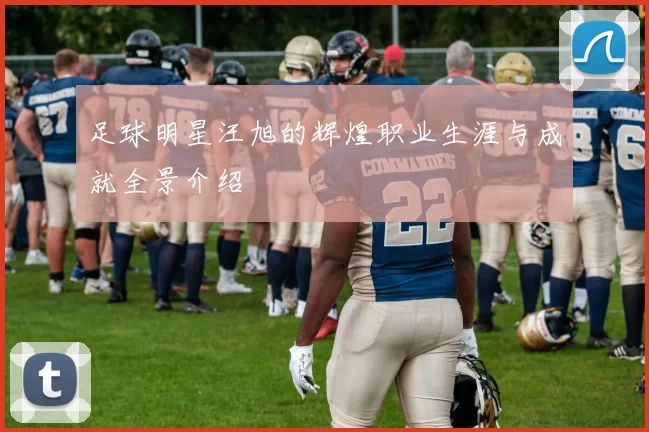 足球明星汪旭的辉煌职业生涯与成就全景介绍